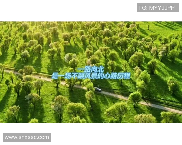 如何在追逐梦想的旅途中疯狂爱上足球明星的心路历程与情感启示